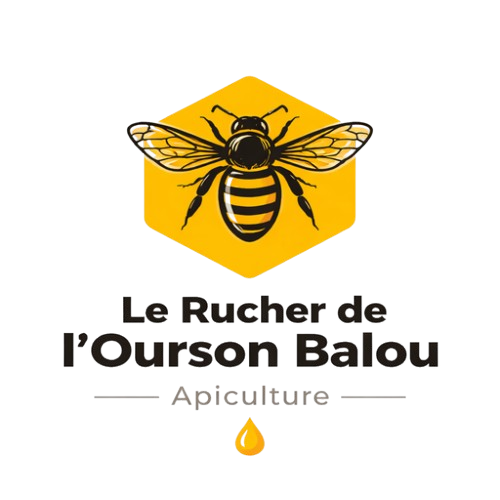 ChatGPT_Image_11_janv._2026__10_38_10__1_-removebg-preview (1)